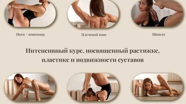 Обложка курса: Кошки: интенсивный курс растяжки (Виктория Цуранова). Площадка: Складчина.biz