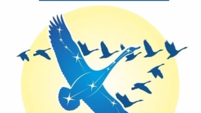 Обложка курса: Космическая Йога. Учение Звёздных Странников [Юрий Радеев]. Площадка: Складчик