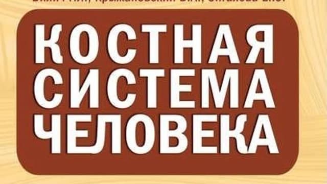 Обложка курса: Костная система человека. Атлас анатомия человека. Площадка: Складчик
