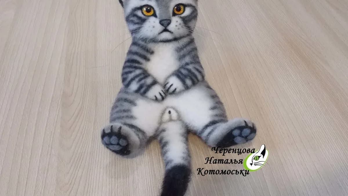 Обложка курса: Кот Бубенчик (Наталья Черенцова). Площадка: Складчина.biz