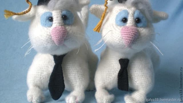 Обложка курса: Кот - учёный (Галина Асташова). Площадка: Складчина.biz