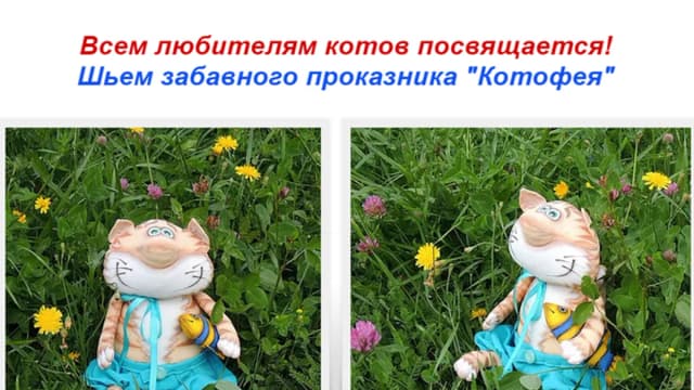 Обложка курса: Котофей (Марина Григорьева). Площадка: Складчина.biz