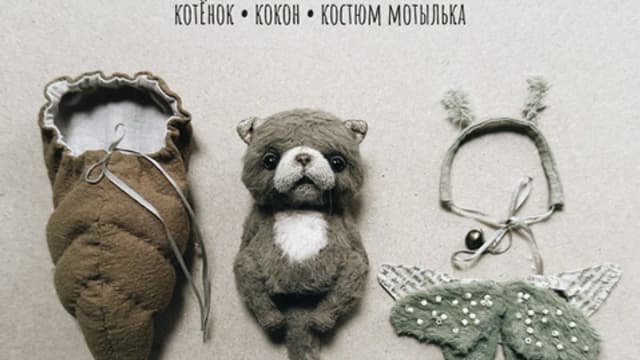 Обложка курса: Котылёк (Надя Титова). Площадка: Складчина.biz