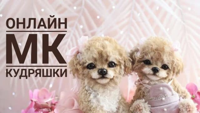 Обложка курса: Кудряшки (Инна Борзенкова). Площадка: Складчина.biz