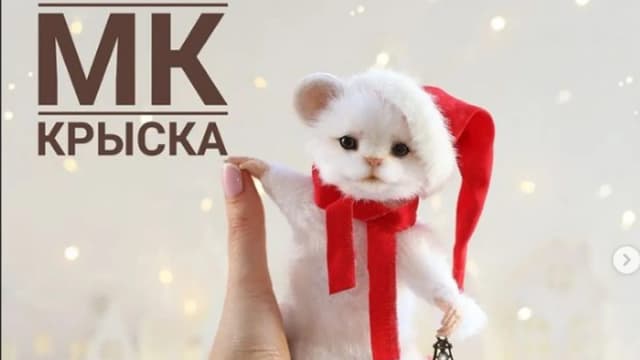 Обложка курса: [Куклы] Мк "Крыска" [Ирина Борзенкова]. Площадка: Складчик