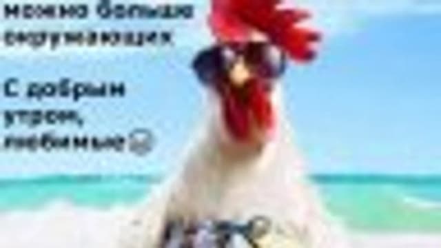 Обложка курса: Курс губы [filler_vlonline]. Площадка: Складчик
