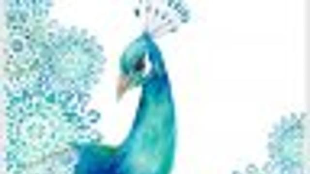 Обложка курса: Курс мягкой правки. Площадка: Складчик