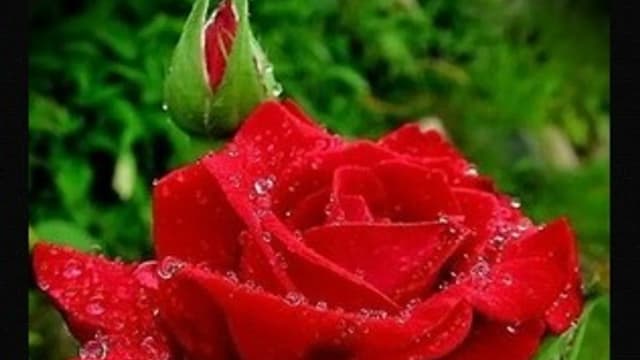 Обложка курса: Курс омоложения [blackmagic1] [Колдун Андрей]. Площадка: Складчик