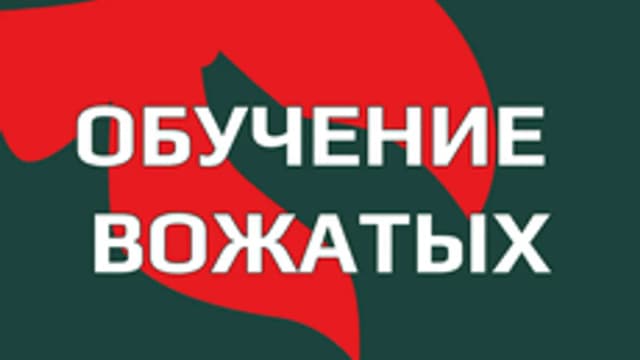 Обложка курса «Курс профессионального обучения вожатых» на Stepik