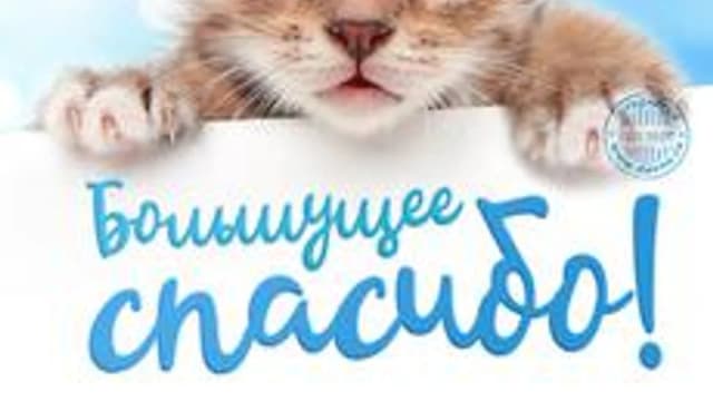Обложка курса «Квадратные уравнения» на Stepik