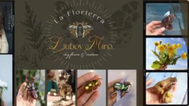 Обложка курса: [La FLorterra] Бабочка. Площадка: Складчина.biz