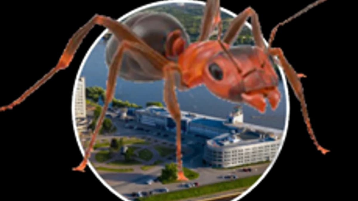 Обложка курса «Лаборатория мирмекологии» на Stepik