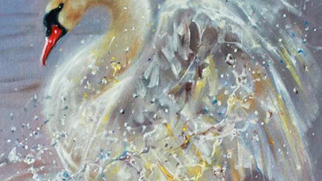 Обложка курса: Лебедь (Александр Маранов). Площадка: Складчина.biz