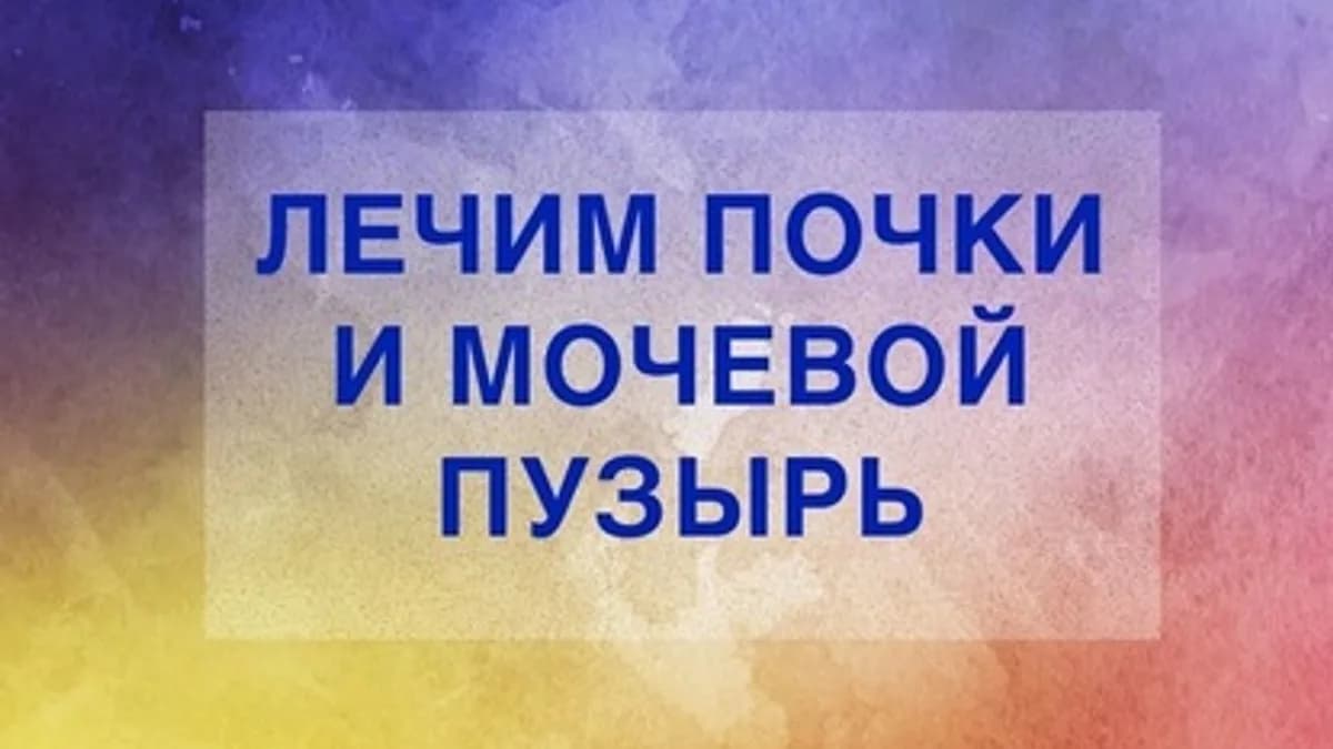 Обложка курса: Лечим почки и мочевой пузырь [Галина Сергеева]. Площадка: Складчик