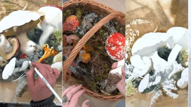 Обложка курса: [Lectoroom] Грибы акварелью (Елена Базанова). Площадка: Складчина.biz