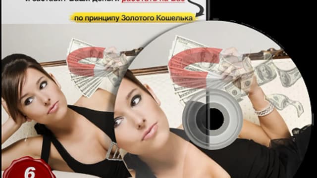 Обложка курса: Леди Денежный магнит + бонусы. Площадка: Складчик