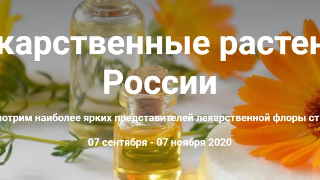 Обложка курса: Лекарственные растения России [Ксения Дудова]. Площадка: Складчик