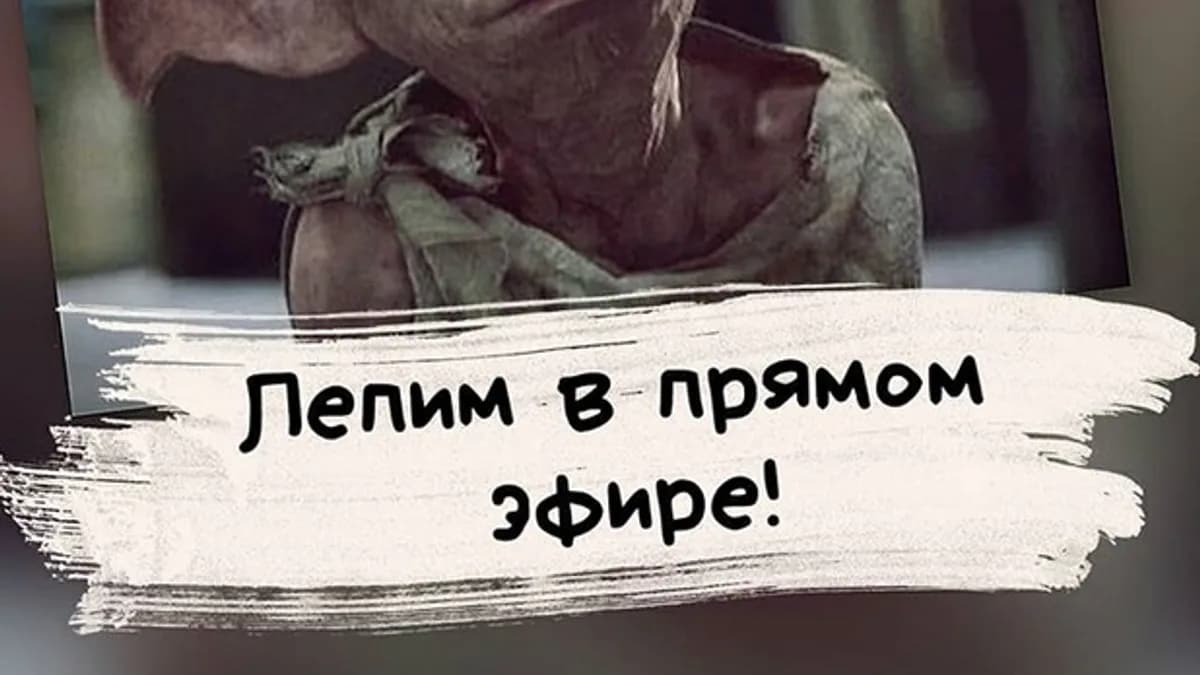 Обложка курса: [Лепка] Добби [art_elina]. Площадка: Складчик