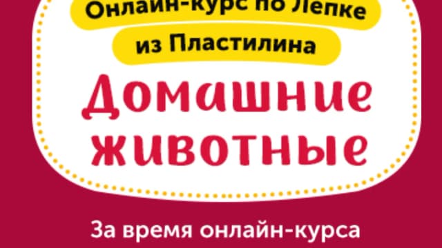 Обложка курса: Лепка из пластилина.Домашние животные [skillberry]. Площадка: Складчик