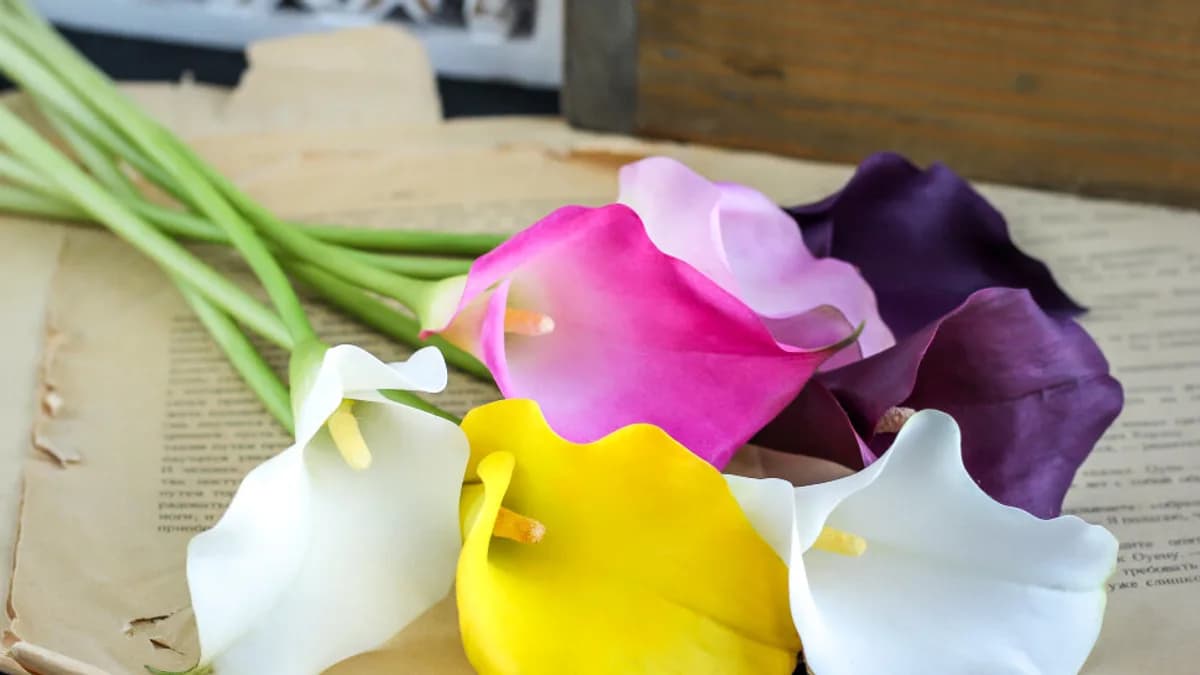 Обложка курса: [Лепка] Каллы [tanyaflower] [Татьяна Кононова]. Площадка: Складчик