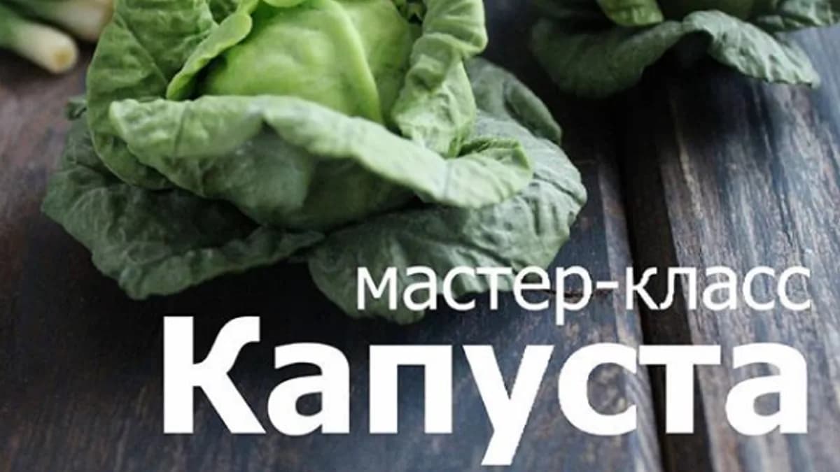 Обложка курса: [Лепка] МК Капуста [fruityclay]. Площадка: Складчик