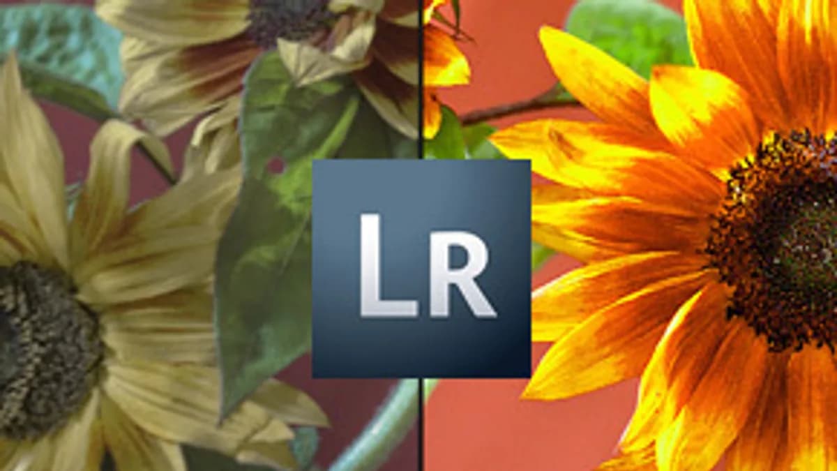 Обложка курса: Lightroom. Основы. Площадка: Складчик