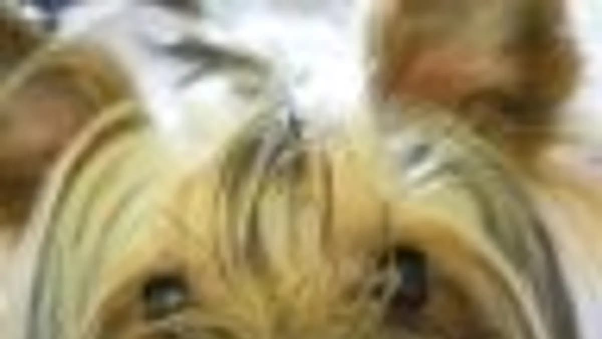 Обложка курса: Линейная алгебра для экономистов. Площадка: Складчик