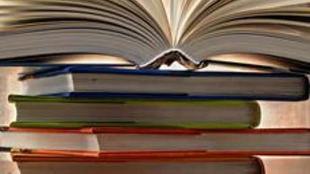 Обложка курса «Литература (8 класс)» на Stepik