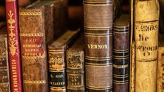 Обложка курса «литература начальных классов» на Stepik