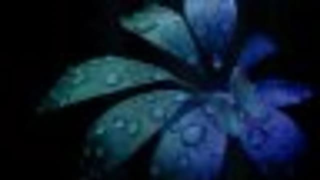 Обложка курса: Little Chatterbox. Площадка: Складчик