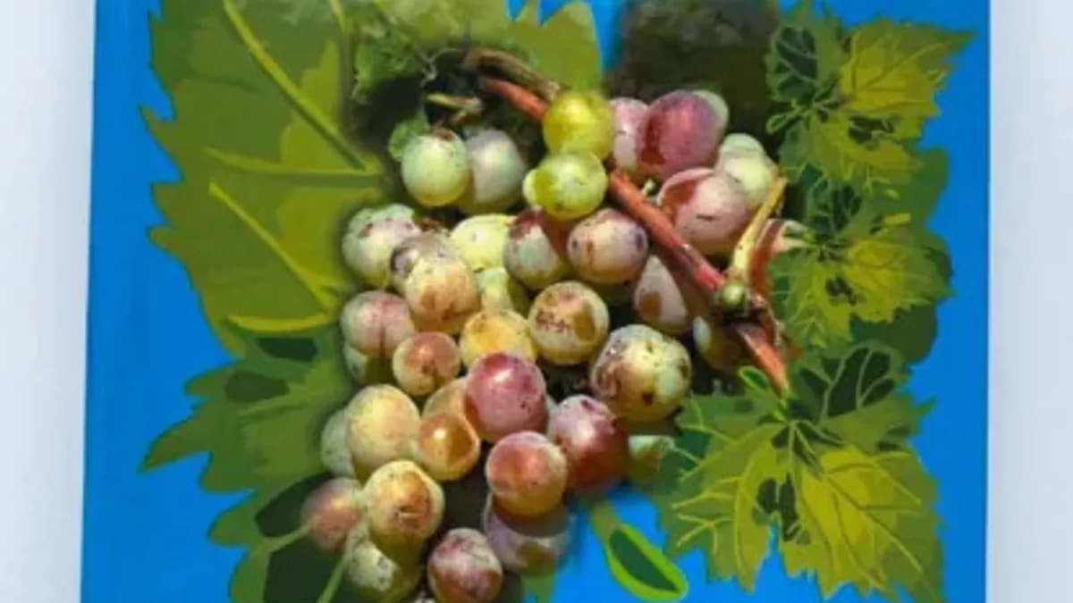 Обложка курса: Любительское виноградарство [Юрий Родин]. Площадка: Складчик
