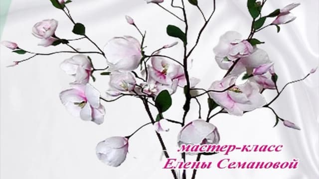 Обложка курса: Магнолия (Елена Семанова). Площадка: Складчина.biz