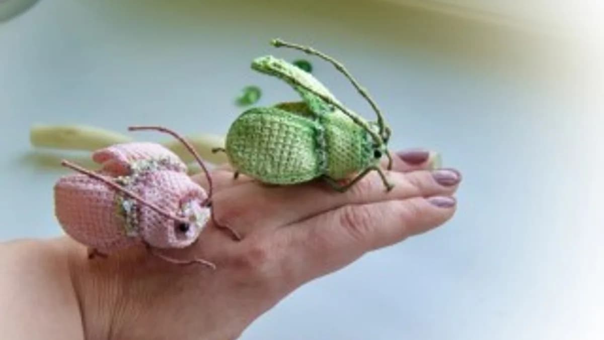 Обложка курса: [malupasy_brooch] Брошь Жук (Марина Филиппова). Площадка: Складчина.biz