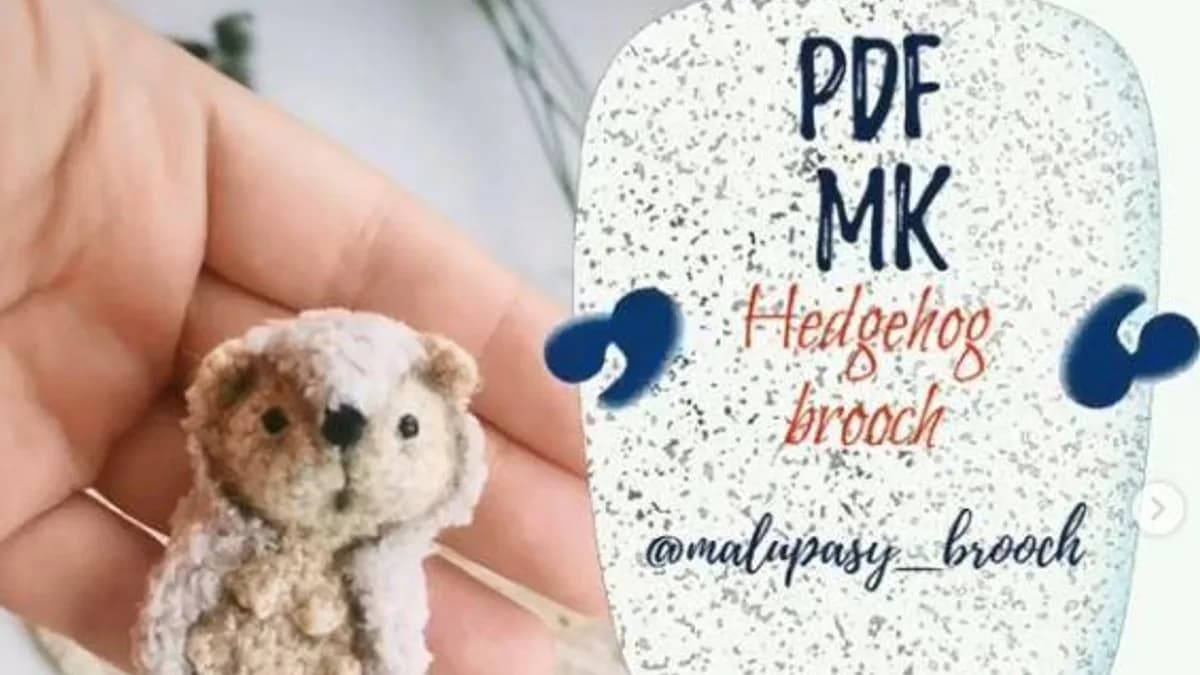 Обложка курса: [malupasy_brooch] Брошкоеж (Марина Филиппова). Площадка: Складчина.biz