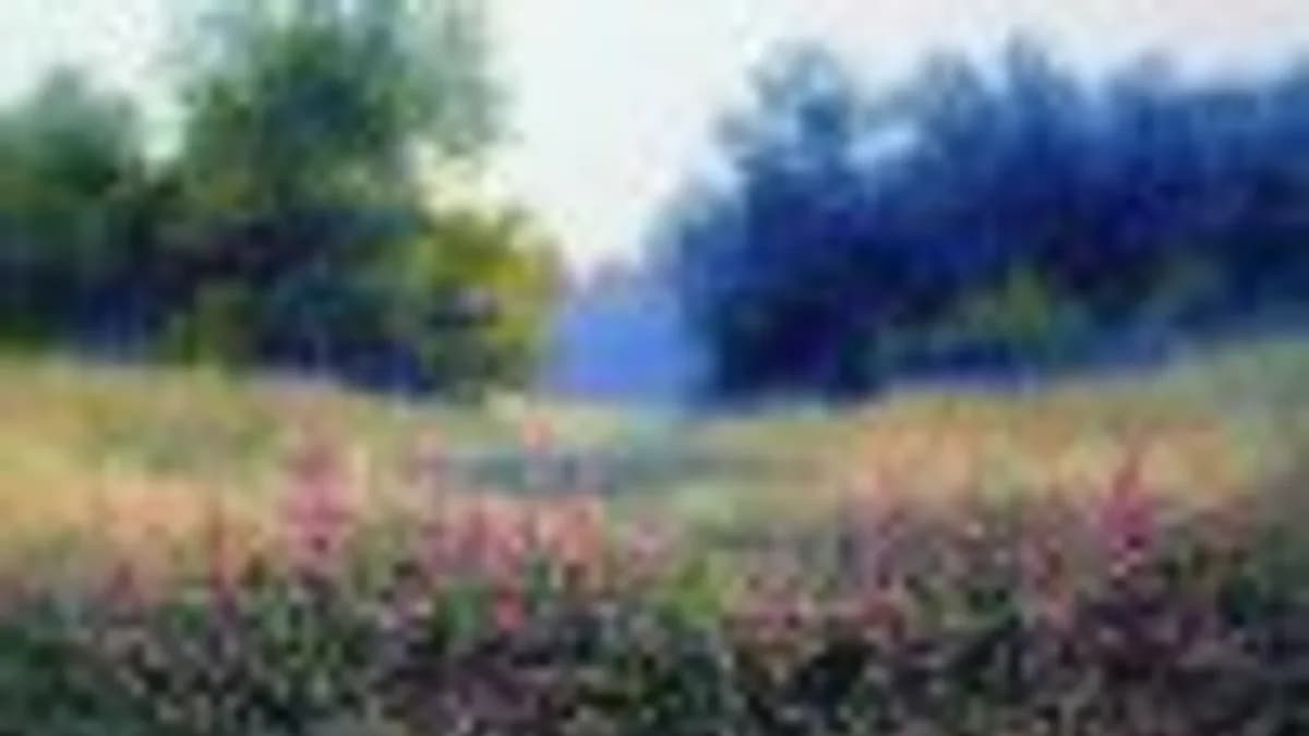 Обложка курса: Мальвы. Площадка: Складчик
