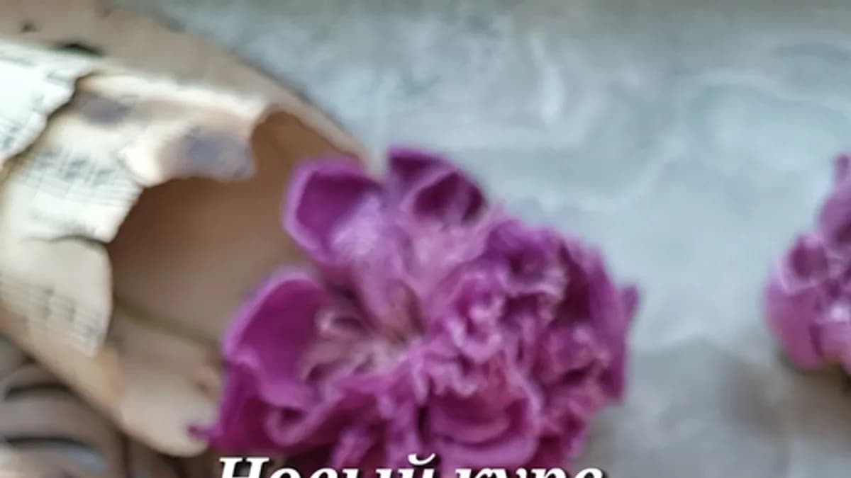 Обложка курса: Малявки (Людмила Лядова). Площадка: Складчина.biz