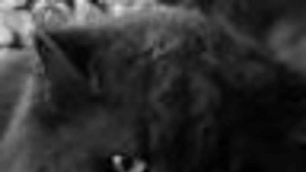 Обложка курса: Марафон «Доминирование» [Секс инструктор]. Площадка: Складчик