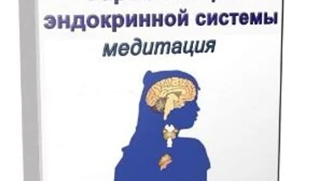 Обложка курса: Медитация «Гармонизация эндокринной системы». Площадка: Складчик