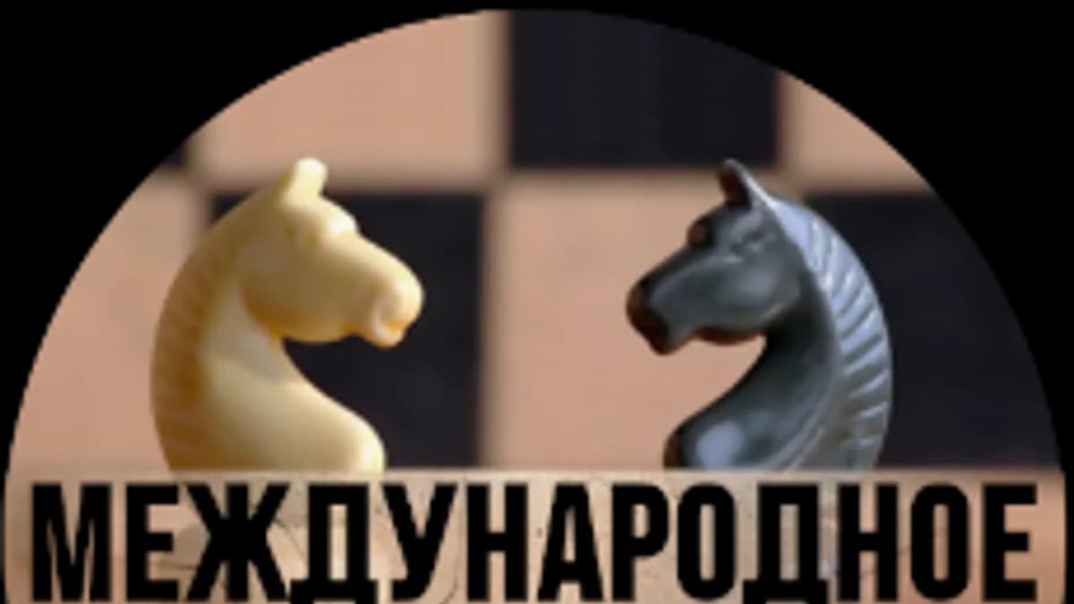 Обложка курса «Международное право» на Stepik