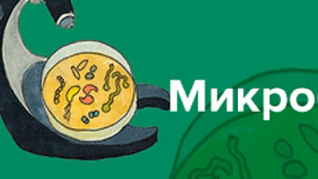 Обложка курса «Микробиология» на Stepik