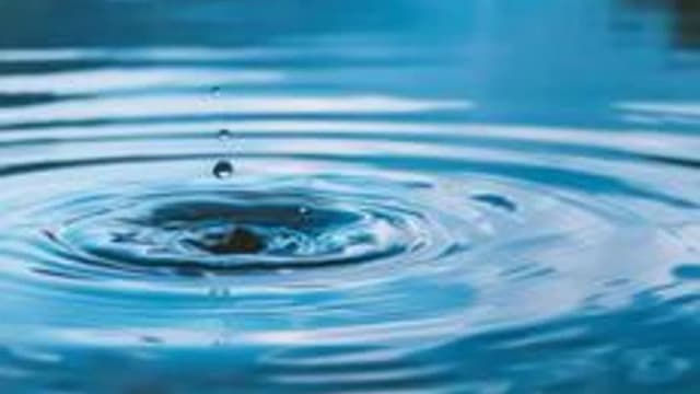Обложка курса «Миленкина Дарья "Вода"» на Stepik