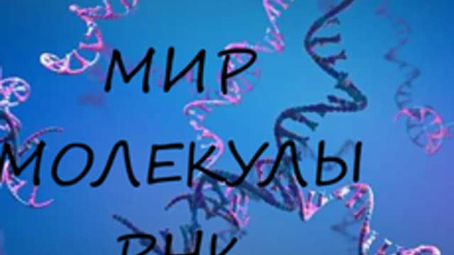 Обложка курса «МИР МОЛЕКУЛЫ РНК» на Stepik