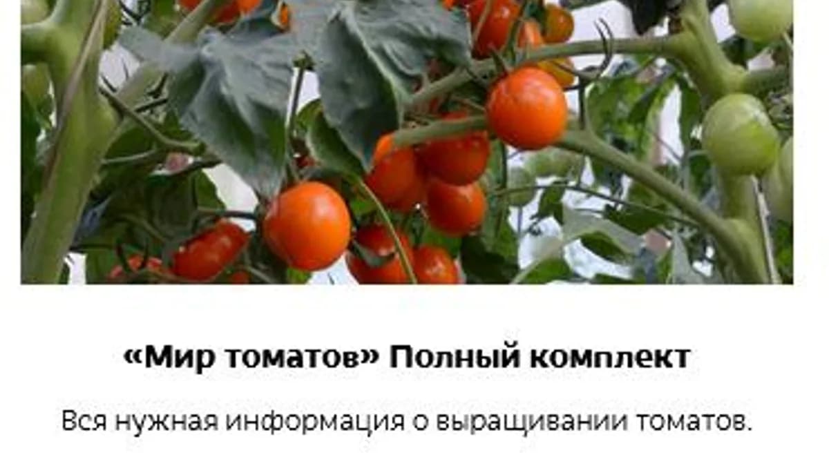 Обложка курса: Мир томатов [Кристианна Виниченко]. Площадка: Складчик