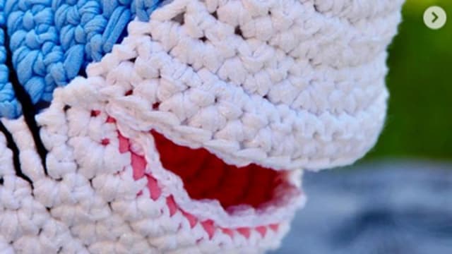 Обложка курса: МК Акула крючком (crochetforyou.ru). Площадка: Складчина.biz