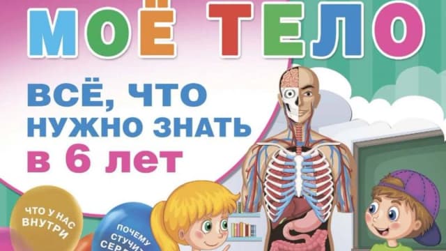 Обложка курса: Мое тело. Все, что нужно знать в 6 лет (Дмитрий Лихачев). Площадка: Складчина.biz