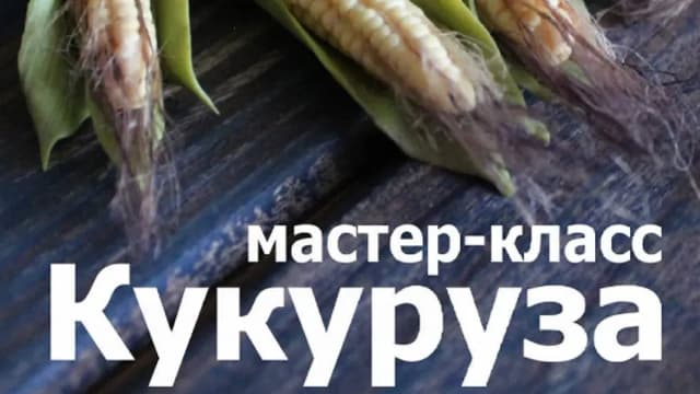 Обложка курса: Молоденькая кукуруза (Кристина Орловская). Площадка: Складчина.biz
