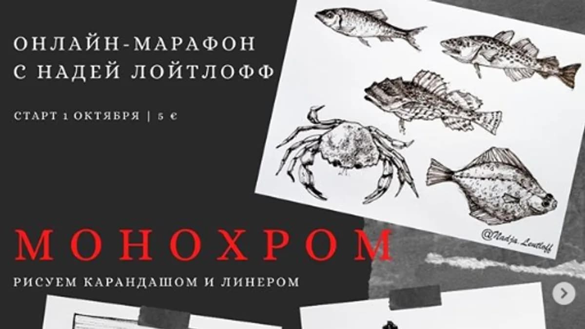 Обложка курса: Монохром [Надя Лойтлофф]. Площадка: Складчик