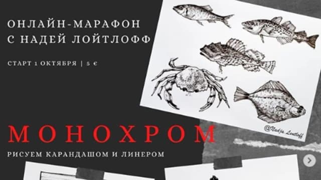 Обложка курса: Монохром [Надя Лойтлофф]. Площадка: Складчик