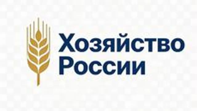 Обложка курса «МООК "Хозяйство России"» на Stepik