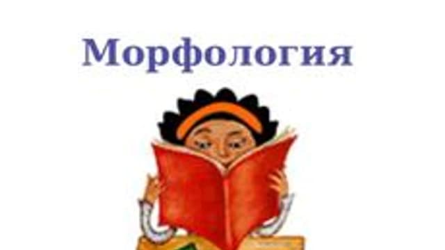 Обложка курса «Морфология. Глагол» на Stepik